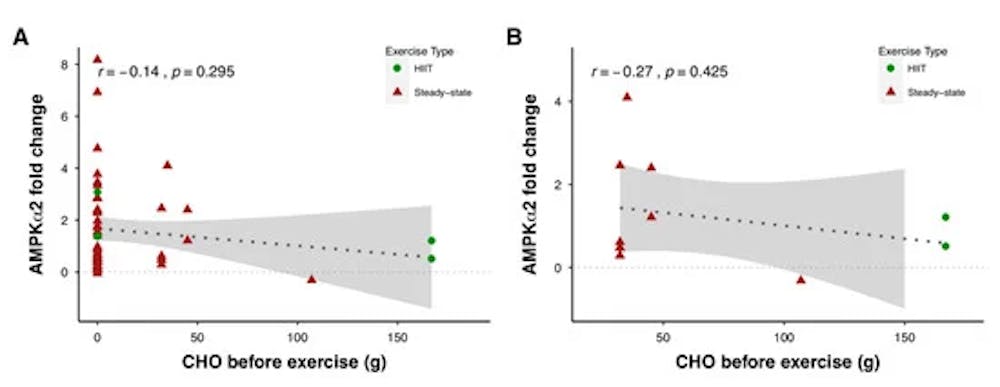 Διατροφή πριν από την προπόνηση αντοχής-Όλα όσα πρέπει να γνωρίζετε μέσα από 165 έρευνες (Μέρος Α’) runbeat.gr